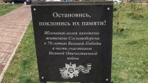 Добрые дела на Яблоневой аллее Добрые дела на Яблоневой аллее