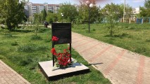 Добрые дела на Яблоневой аллее