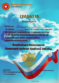 Городской турнир по пулевой стрельбе