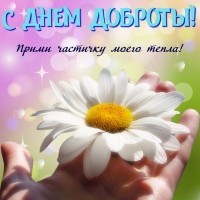 Минутка добра