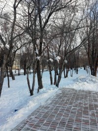 День Героев Отечества День Героев Отечества