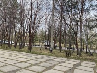 Субботник Субботник