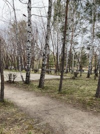 Субботник Субботник