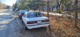«Олени» в техникуме «Олени» в техникуме