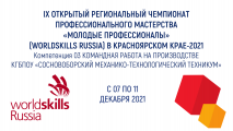 IX Открытый Региональный чемпионат «Молодые профессионалы» (WorldSkills Russia)