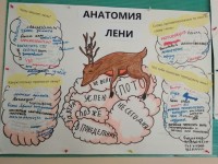 Неделя психологии