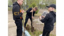 Сады памяти Сады памяти