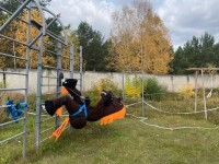 День здоровья, посвященный празднику День СПО День здоровья, посвященный празднику День СПО