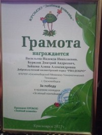Экоактивисты из волонтерского отряда «PROДобро» во главе с Васильевой Надеждой Николаевной привезли победу с краевого конкурса «Зеленый контейнер»