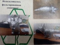 Экоактивисты из волонтерского отряда «PROДобро» во главе с Васильевой Надеждой Николаевной привезли победу с краевого конкурса «Зеленый контейнер»