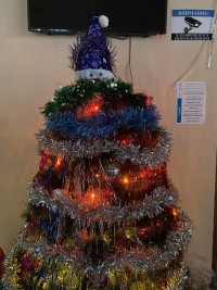 Конкурс новогодних елок «Креативная елка» Конкурс новогодних елок «Креативная елка»