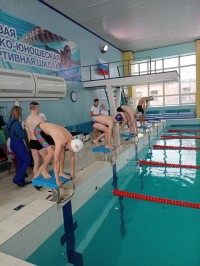 Наши спортсмены приняли участие в соревнованиях по плаванию Наши спортсмены приняли участие в соревнованиях по плаванию