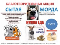 Помогите четвероногим друзьям! Продолжается благотворительная акция «СЫТАЯ МОРДА»