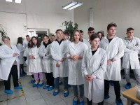 Неделя без турникетов Неделя без турникетов