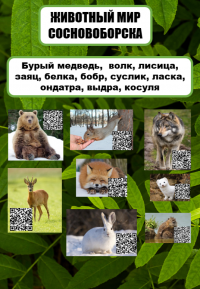 «На связи с природой!» Техникум принял участие во Всероссийском ЭКОпроекте «На связи с природой!» Техникум принял участие во Всероссийском ЭКОпроекте