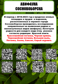 «На связи с природой!» Техникум принял участие во Всероссийском ЭКОпроекте «На связи с природой!» Техникум принял участие во Всероссийском ЭКОпроекте