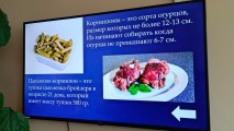 20 октября - Международный день повара 20 октября - Международный день повара