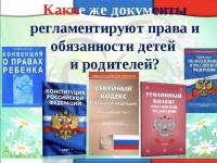 Всероссийский День оказания правовой помощи детям