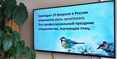 Профессия по зову сердца