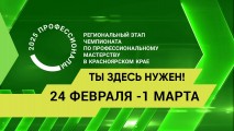 Чемпионат «Профессионалы» Красноярский край