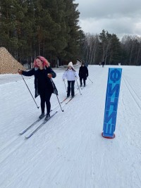 Соревнования по лыжным гонкам Соревнования по лыжным гонкам