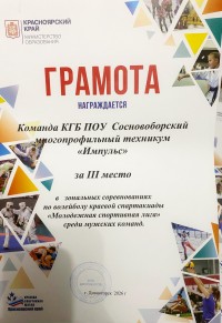 Молодёжная спортивная лига. Волейбол. Молодёжная спортивная лига. Волейбол.